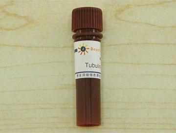 Tubulin-Tracker Red (微管红色荧光探针)